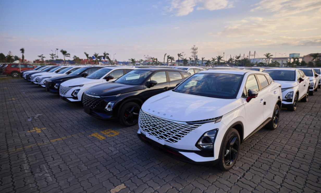 Predictions for Vietnam’s automobile market in 2025.